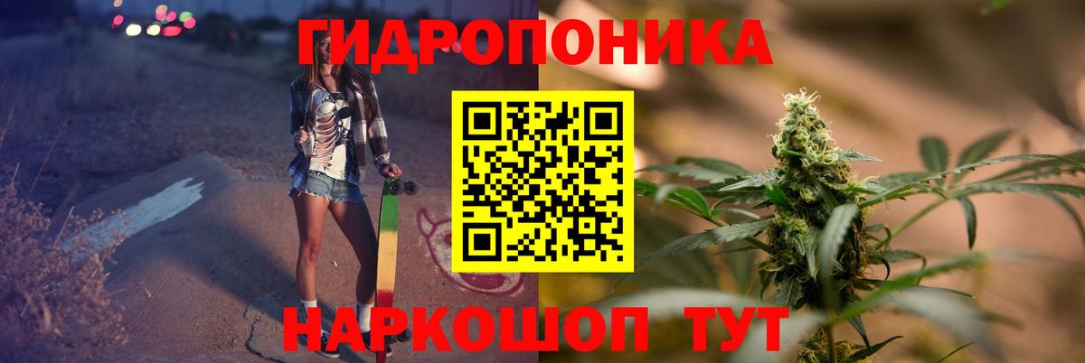 Бошки марихуана сатива Кириши